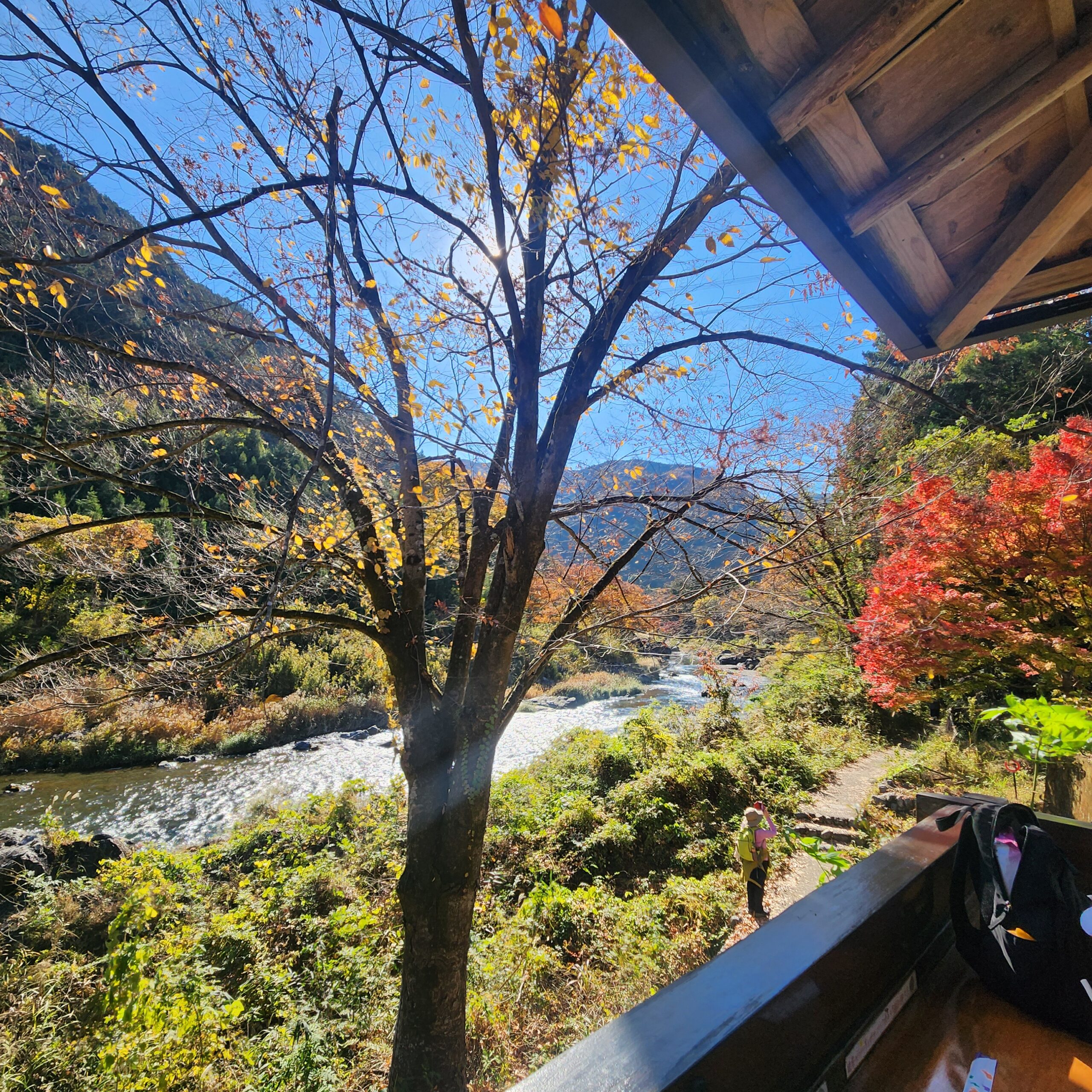 御岳渓谷の川辺